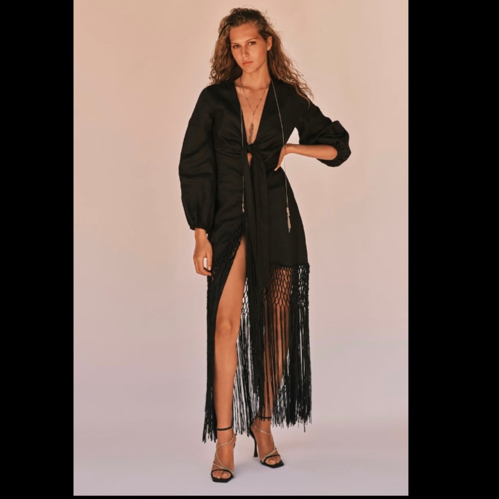 Zara fringe dress